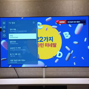 lg oled TV 55인치 evo 최고등급 팝니다