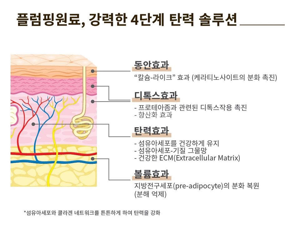양태반 리프팅 앰플팩--6