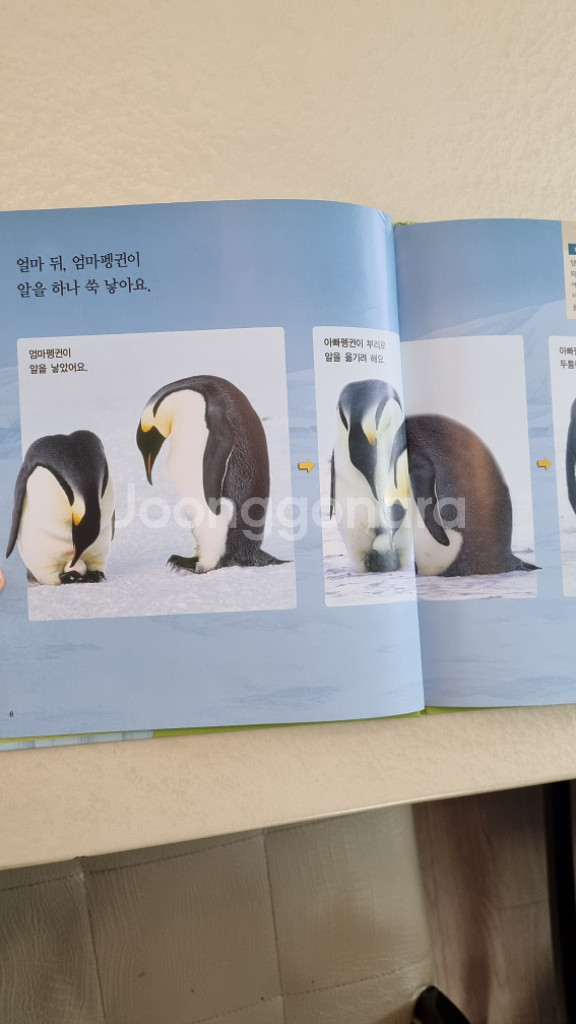 프뢰벨 자연관찰--1