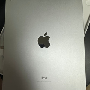 아이패드에어 4세대 256기가 wifi