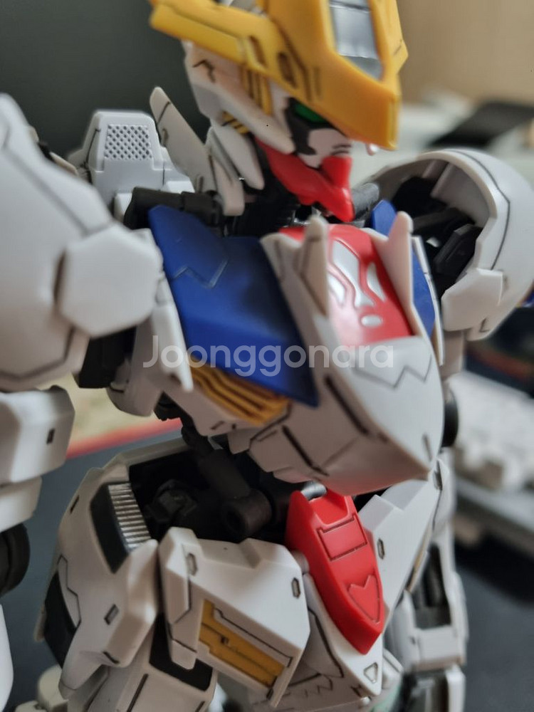 발바토스 루프스 렉스 무등급--1