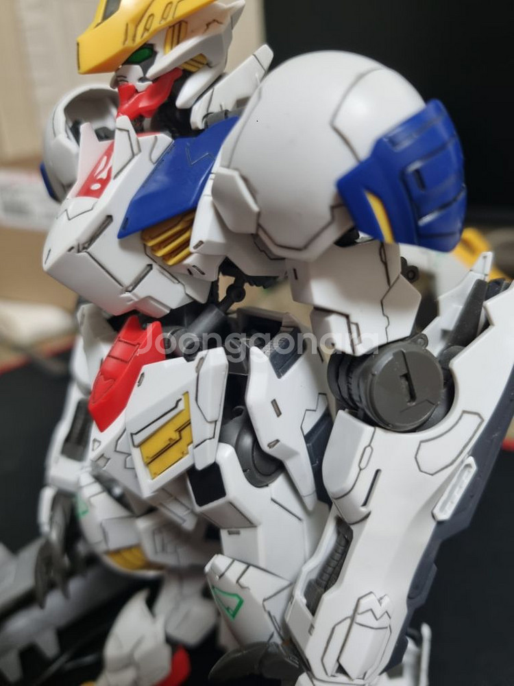 발바토스 루프스 렉스 무등급--2