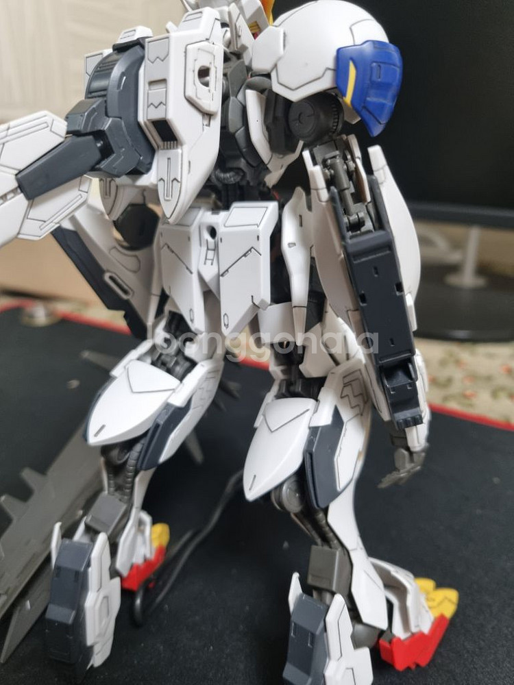 발바토스 루프스 렉스 무등급--5