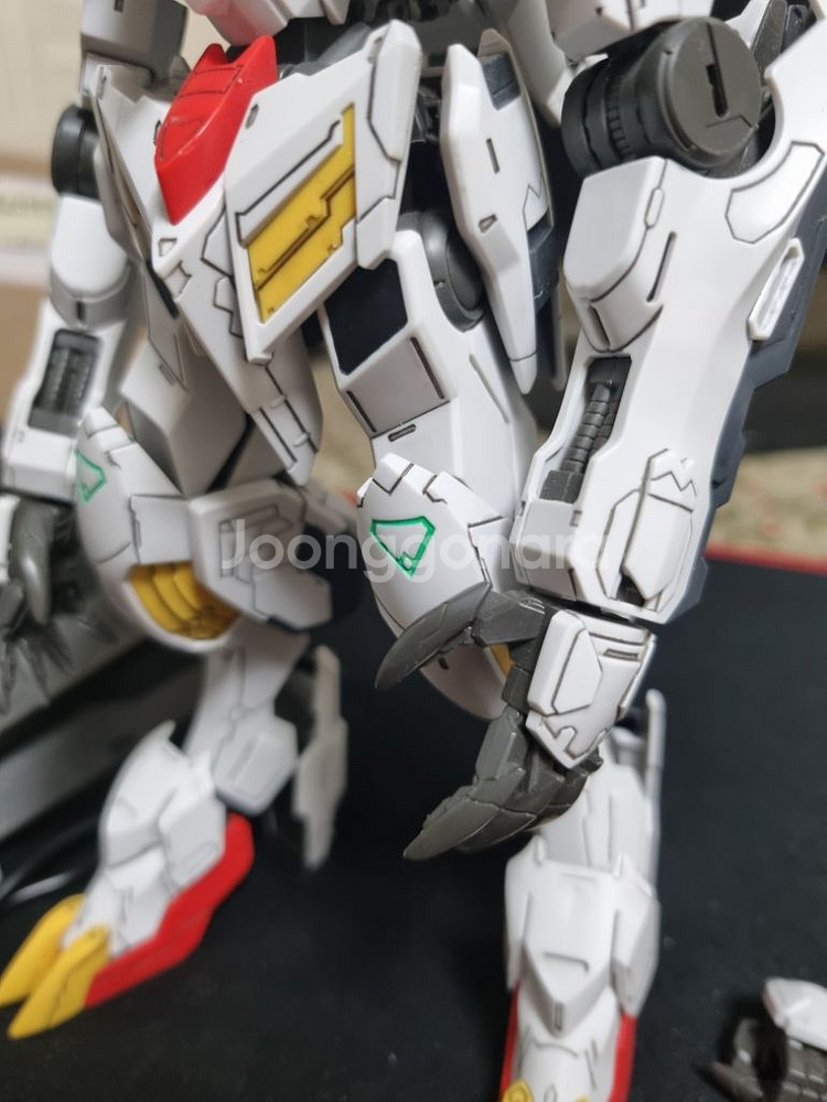 발바토스 루프스 렉스 무등급--3