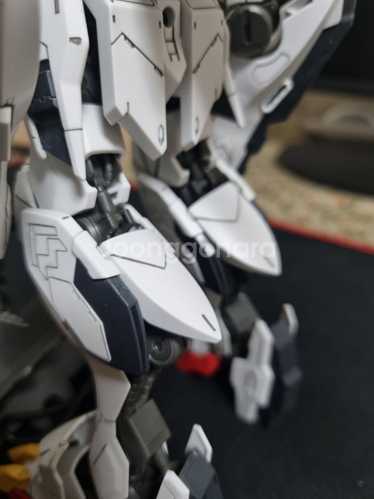 발바토스 루프스 렉스 무등급--6