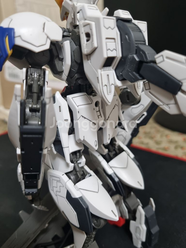 발바토스 루프스 렉스 무등급--7