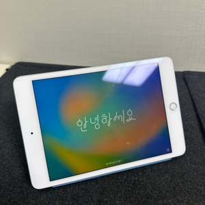 아이패드 미니5 64GB 셀룰러