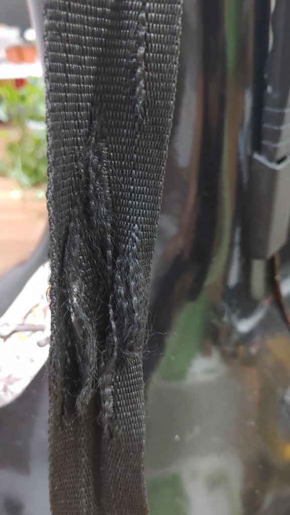 인도 전통악기 시타르 이미지