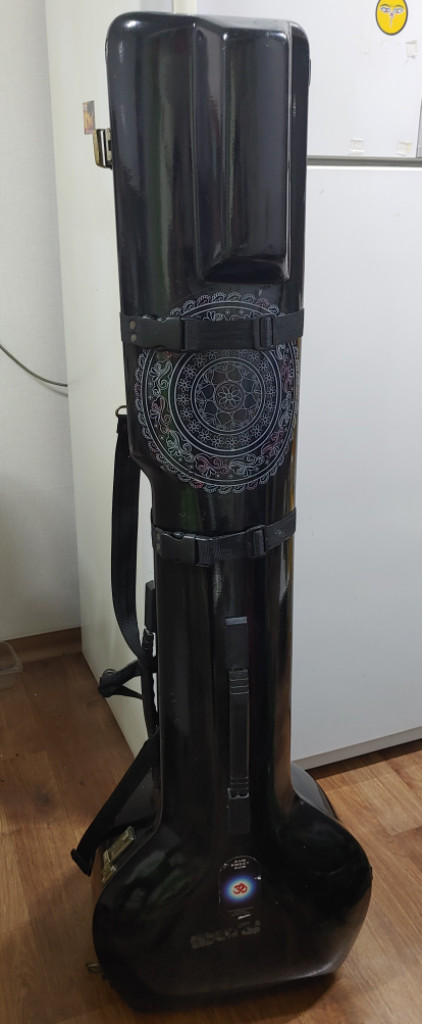 인도 전통악기 시타르 이미지