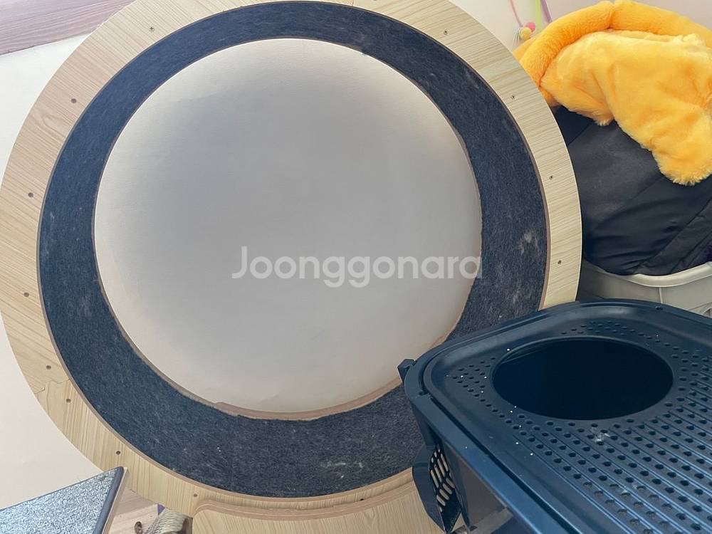 고양이 캣휠--0