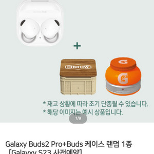 Galaxy Buds2 Pro (버즈2프로)+케이스1종