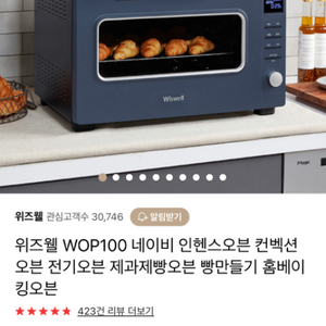 위즈웰 WOP100 인헨스 스팀 오븐 가정용 40L