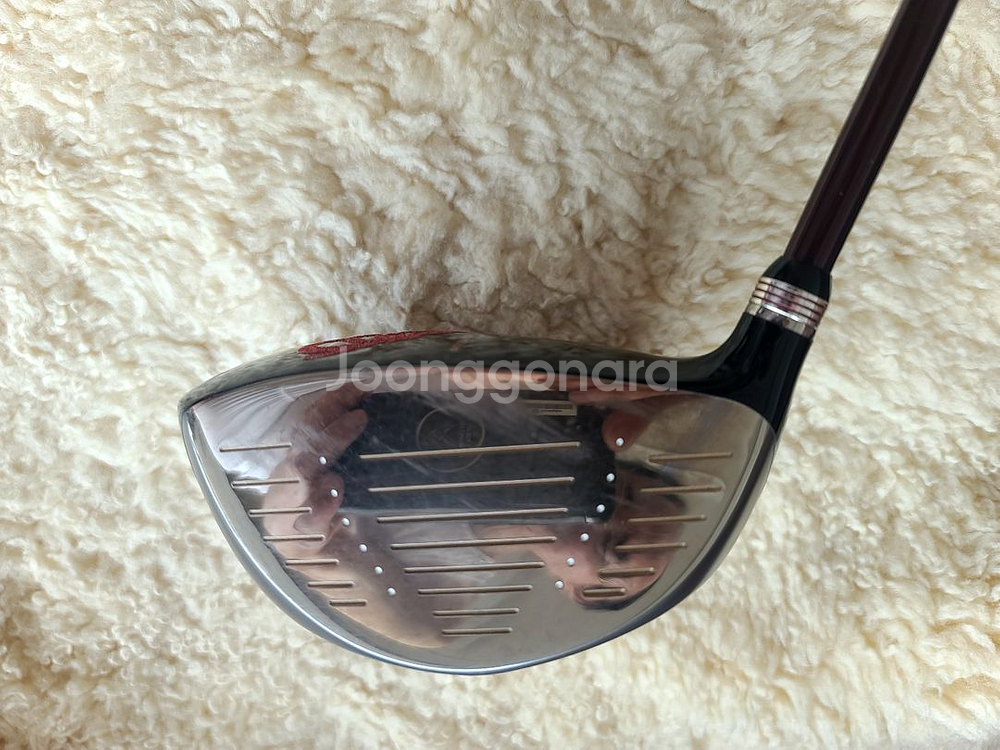 PRGR TRX 505 여성용드라이버--0