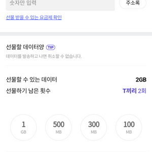 skt데이터 2기가