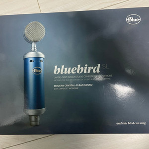 녹음용 마이크 blue bird sl