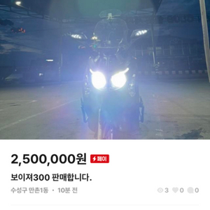 보이저300