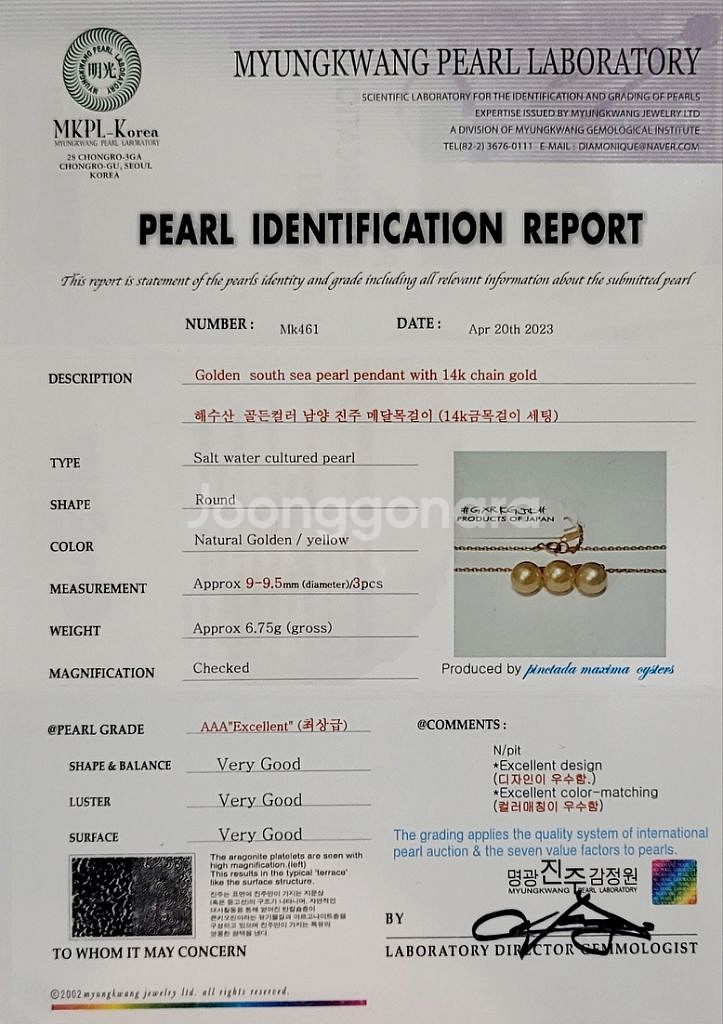 골든컬러 남양진주목걸이--5