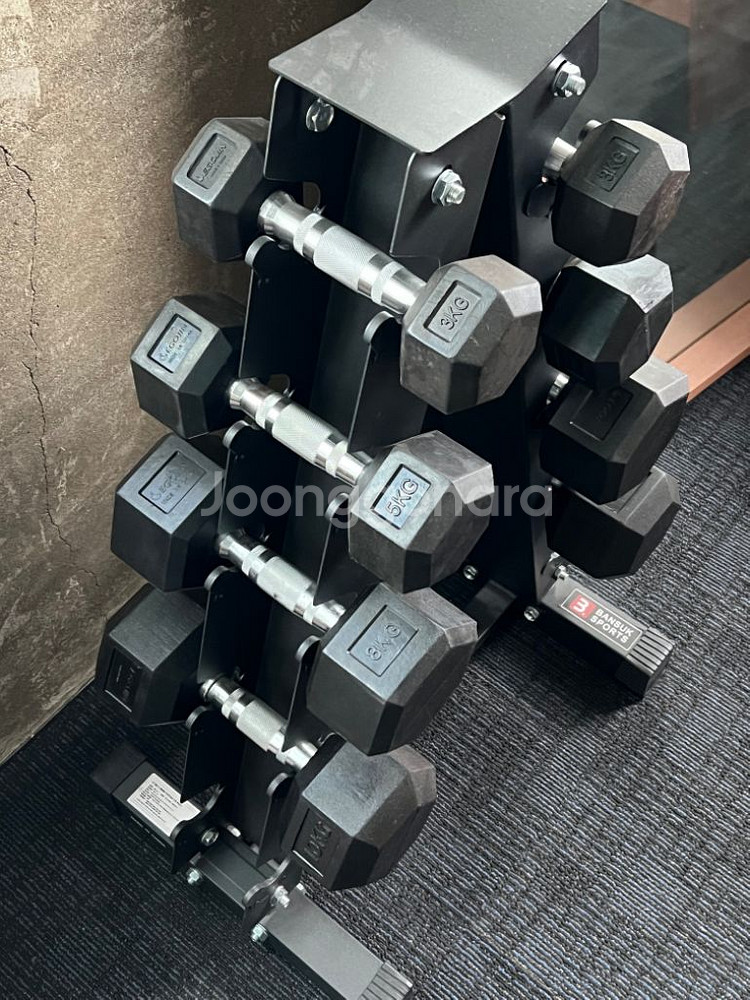 아령 덤벨 세트 거치대 포함 3,5,8,10,12 kg--1