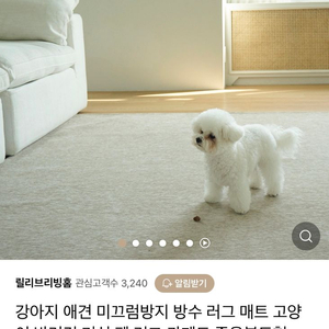 강아지 러그 미끄럼방지 러그