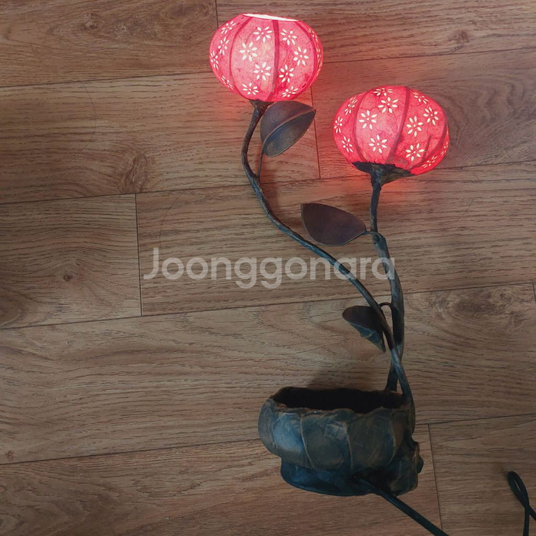 조명--1