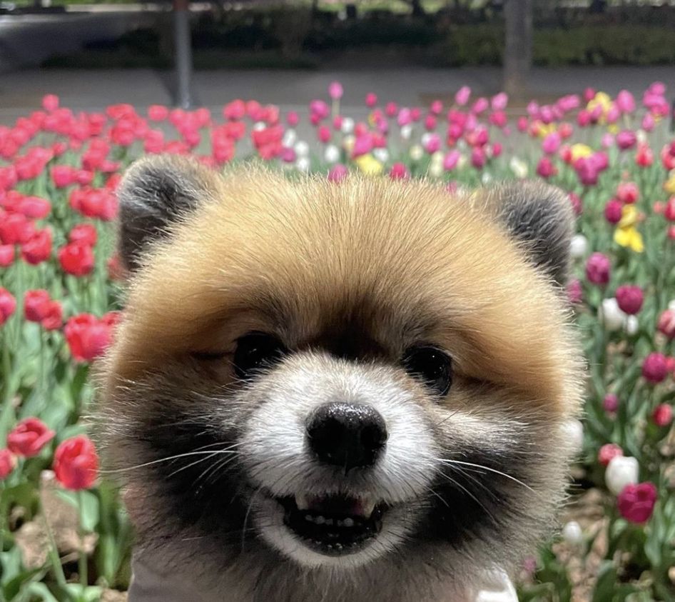 프로필 이미지