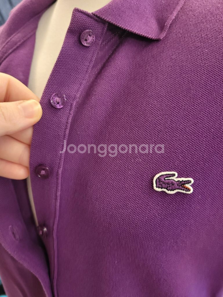 라코스테 피케원피스(size38)--1