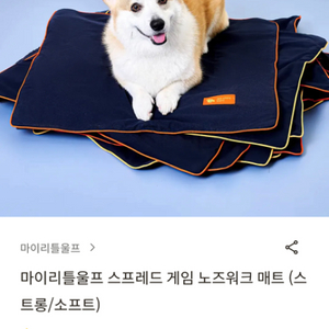 강아지 노즈워크 매트