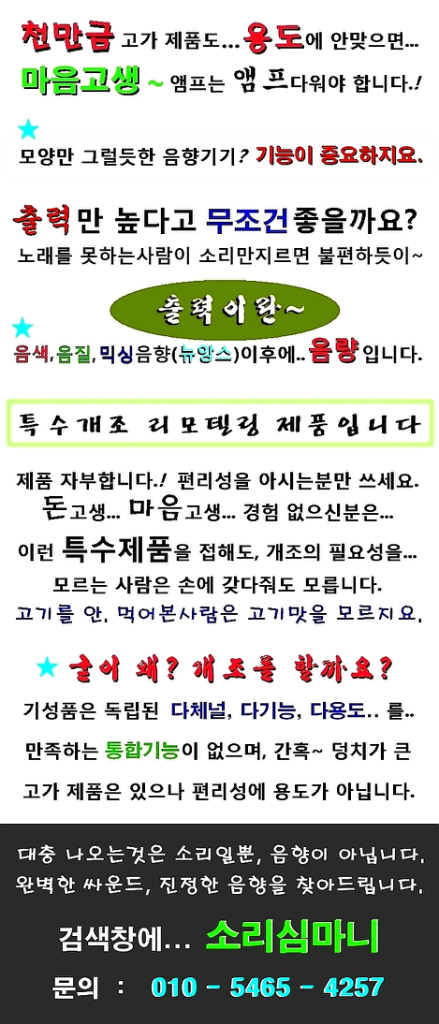 차량가정 노래방 휴대용 멀티 음향믹싱기 옵션 무선마이크 이미지