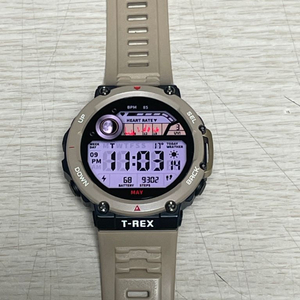 어메이즈핏티렉스2