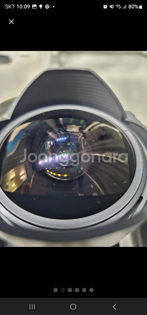 니콘 d5600 + 삼양 어안렌즈--1