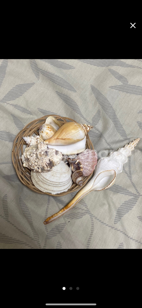 오키나와에서 산 데코껍데기--0