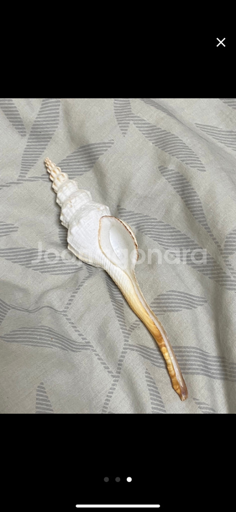 오키나와에서 산 데코껍데기--2