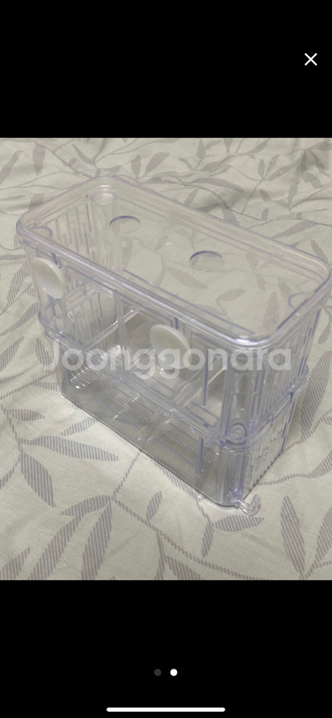 물고기새끼부화통 팔아요--1