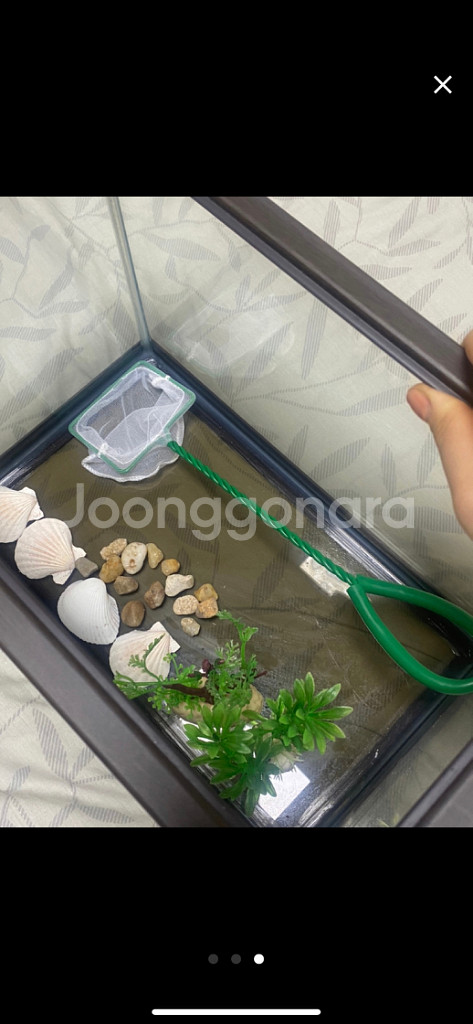 물고기수조통팔아요(수조통+뜰채+장식용품)--2