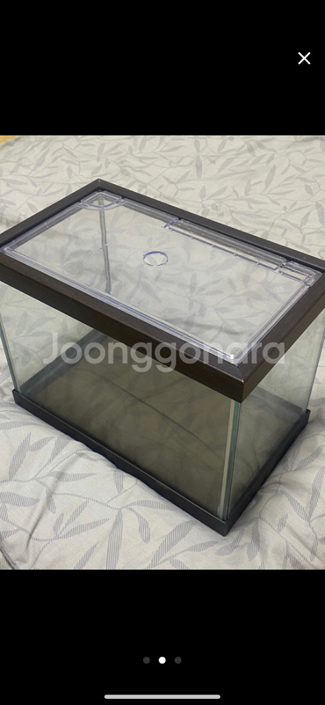 물고기수조통팔아요(수조통+뜰채+장식용품)--1