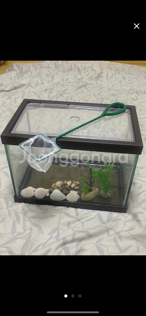 물고기수조통팔아요(수조통+뜰채+장식용품)--0