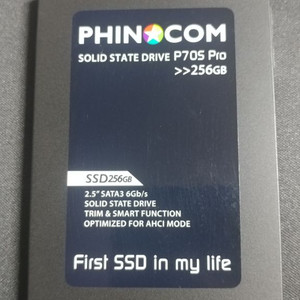 P70S Pro SSD 256GB