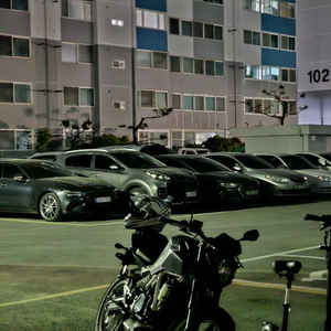 엑시브 250n