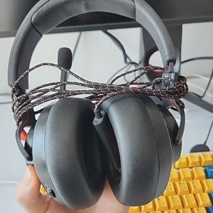 JBL 퀀텀 300