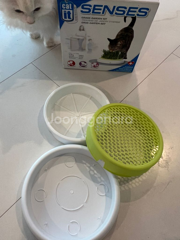 캣잇 고양이 센시스 캣 그래스 가든 키트--1