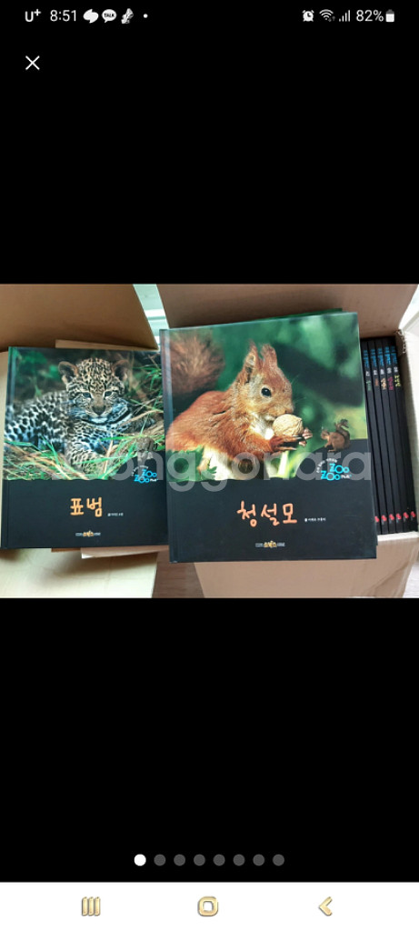 대교소빅스자연괸찰--4
