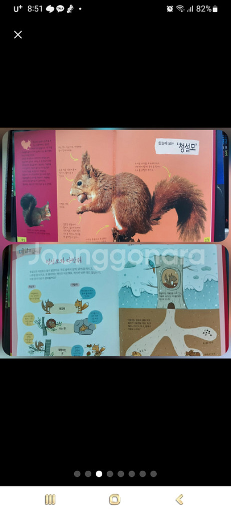 대교소빅스자연괸찰--6