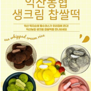 *이벤트*익산찹쌀떡 5종(생,흑,초,딸,고)