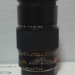 Leica R Apo Macro 100mm f2.8