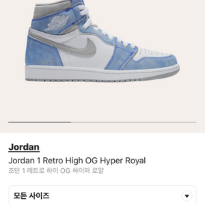 조던1 레트로 하이 OG 하이퍼로얄 285