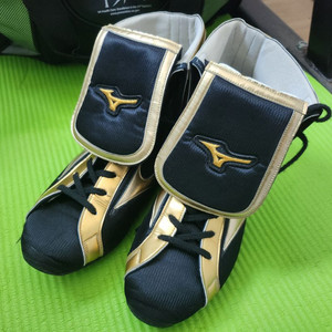 미즈노 복싱화 260