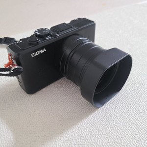 시그마dp2s