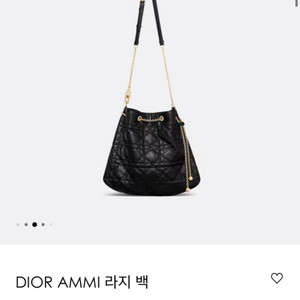 디올 ammi bag