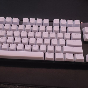 스틸시리즈 Apex Pro TKL WL 키보드