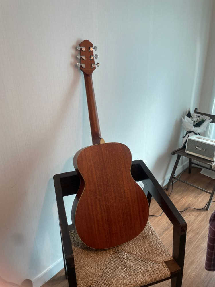 크래프터 기타--2